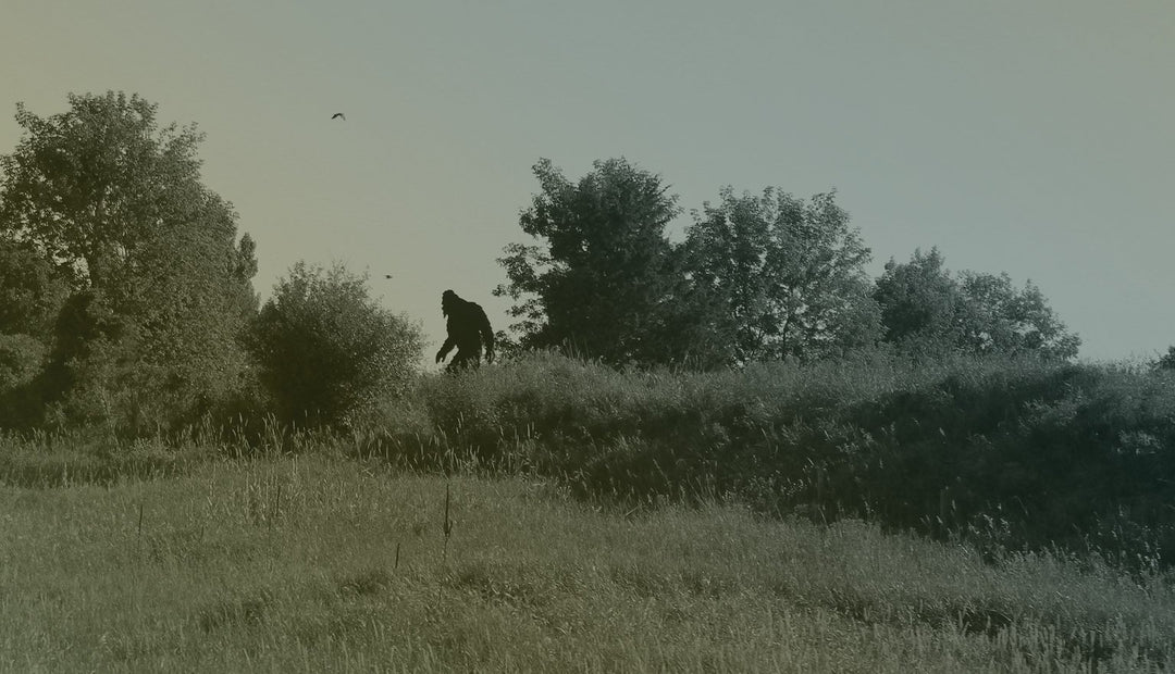 Episode 25 – Shelly Covington Montana and Michael Waldie – Citizen Science and Bigfoot