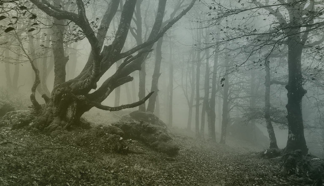 Episode 27 – Paul Herring – Cryptid Researcher and Former Police Officer