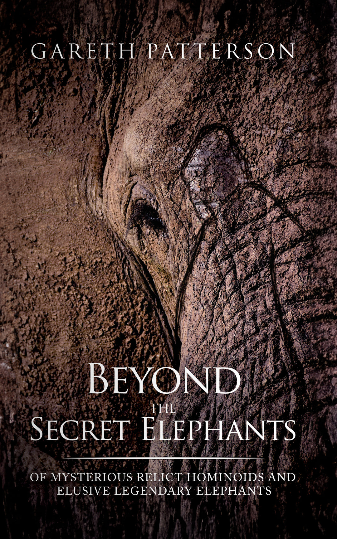 Beyond the Secret Elephants