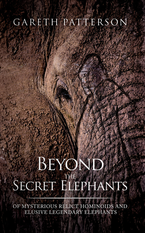 Beyond the Secret Elephants Beyond the Secret Elephants
