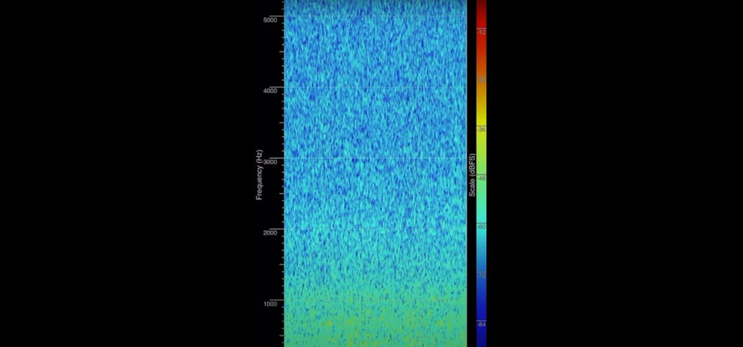 EVP's and Anomalous Sounds