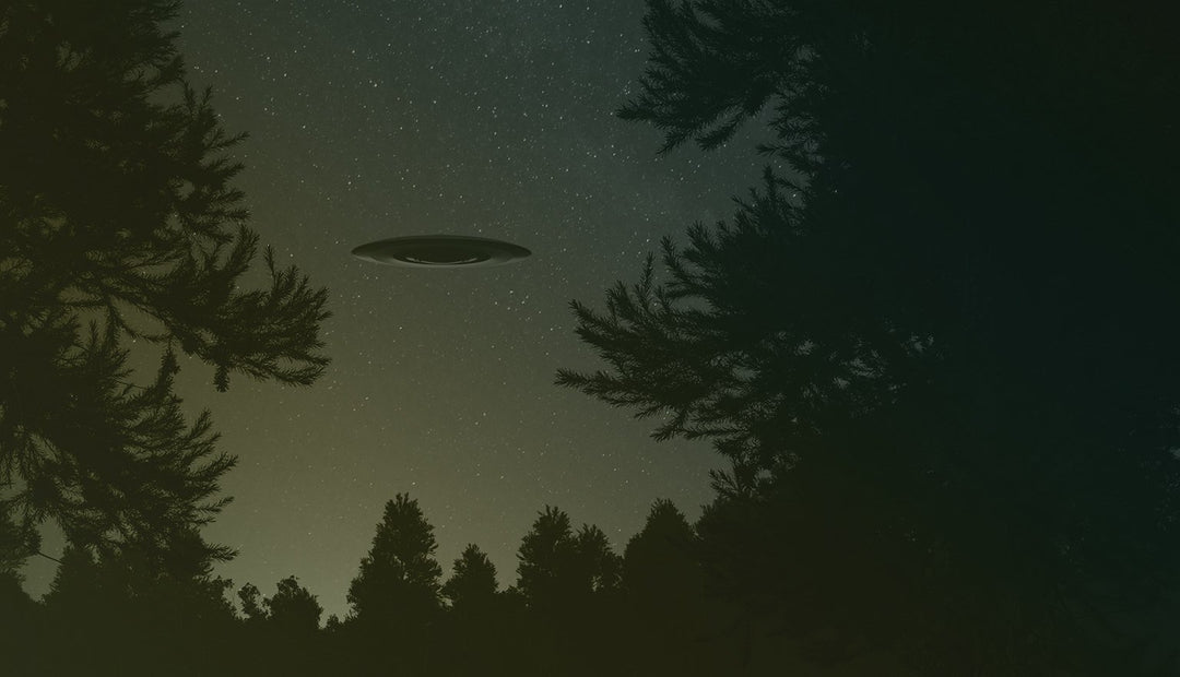 Episode 8 – Linda Zimmerman – UFO Effects on Animals and Amazing UFO Cases